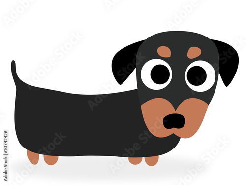 teckel dog