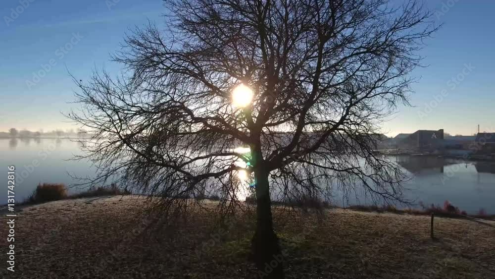 Dutch landscape air view trough tree and above water Dutch landscape air view trough tree and above water