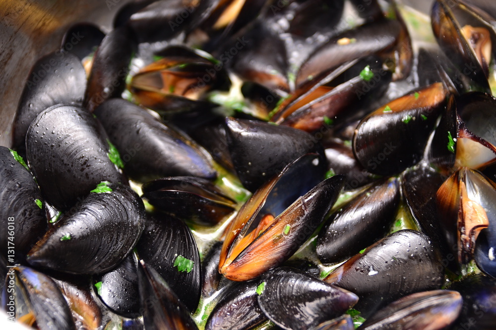 cooking mussels cooking mussels