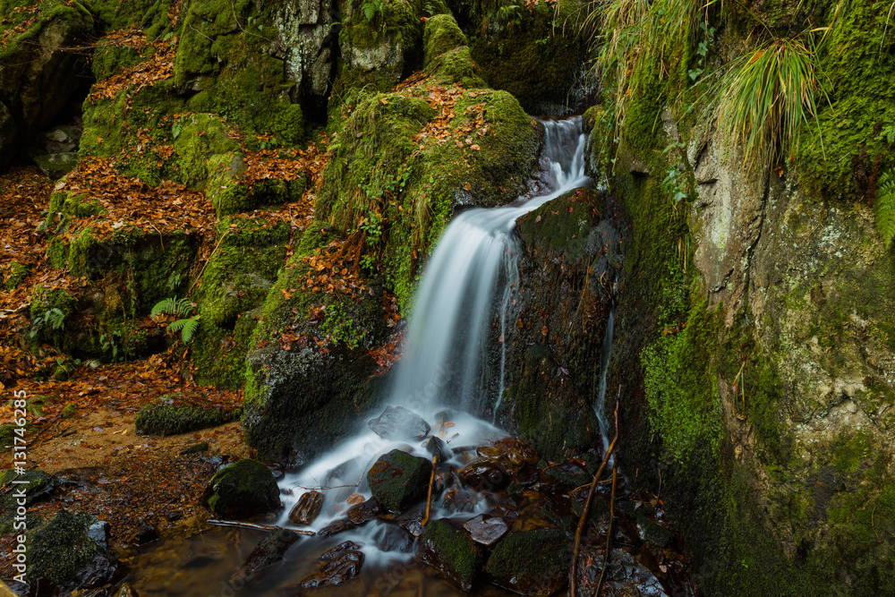 Altersbach Wasserfall Waldkirch Schwarzwald Altersbach Wasserfall Waldkirch Schwarzwald