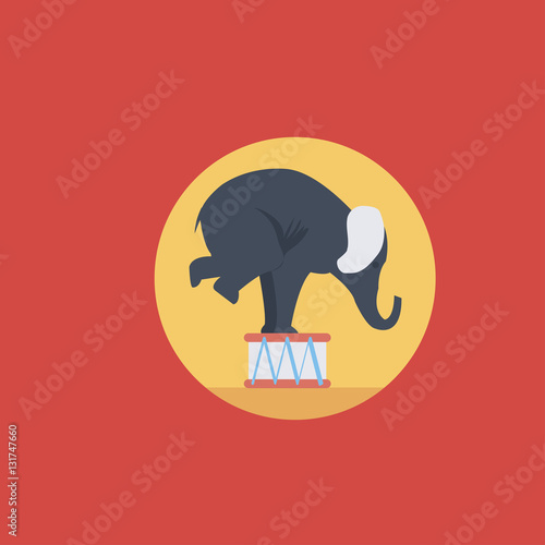 circus elephant icon.flat design