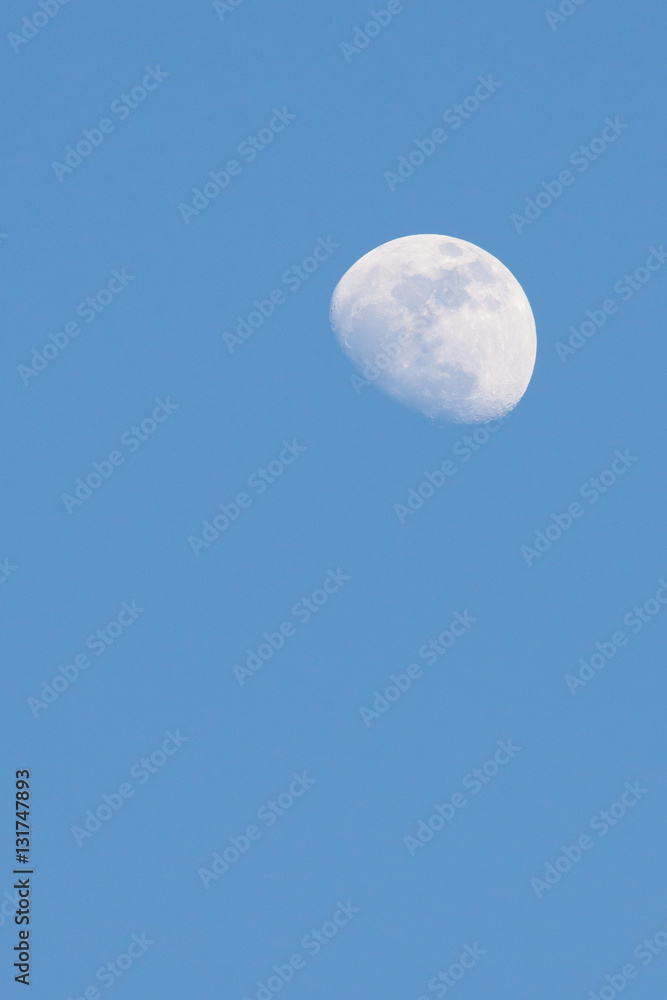 Half moon appear in the afternoon time in the sky. Half moon appear in the afternoon time in the sky.