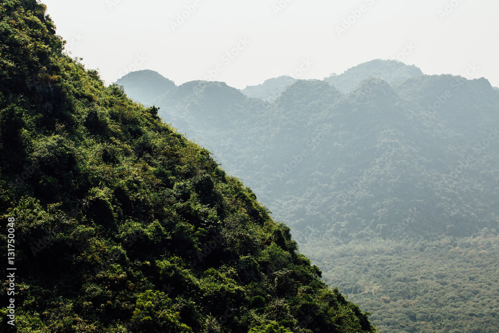 The beautiful landscape, the mountains in the jungle forest and 