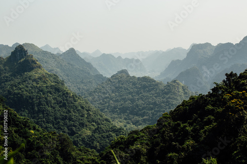 The beautiful landscape, the mountains in the jungle forest and 