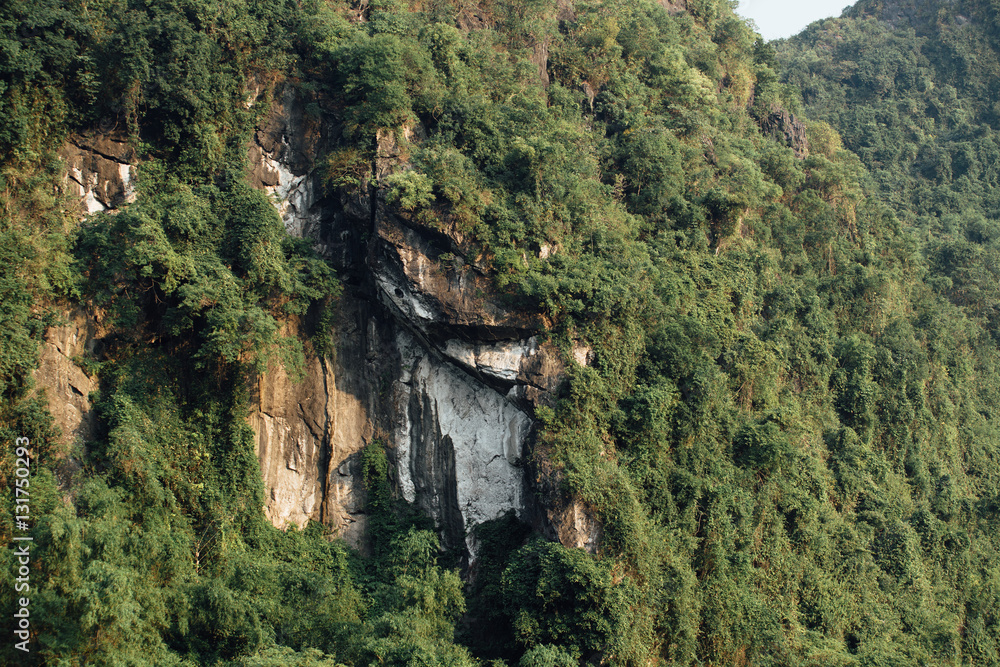 Spectacular rock face with green trees background, asia mountain