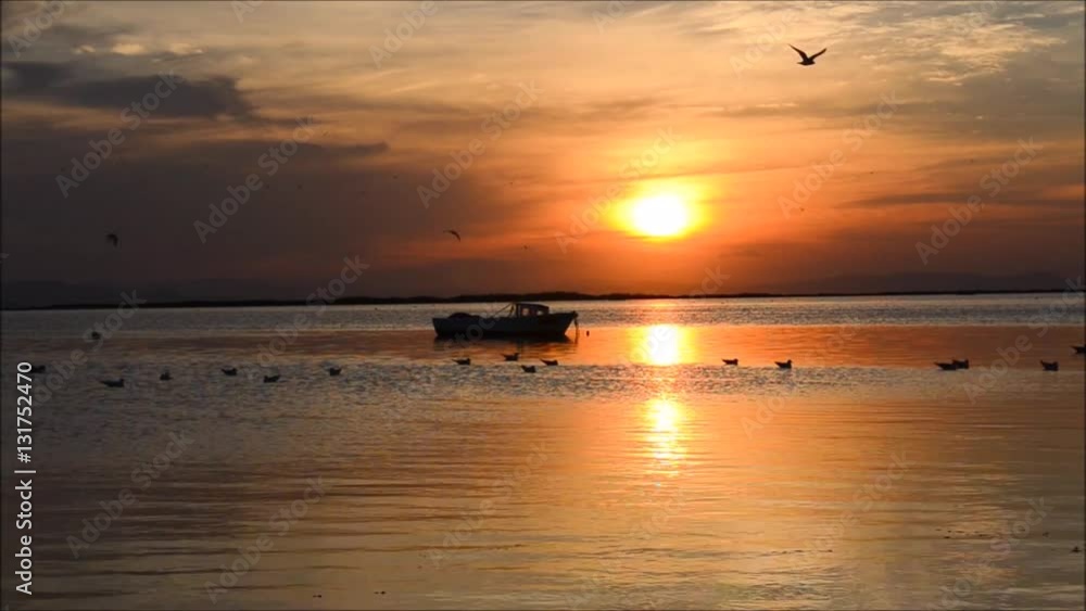 Fishing boat on sea at sunset in Izmir - Turkey. . Seagulls swimming and flying on the sea, silhouette. Fishing boat on sea at sunset in Izmir - Turkey. . Seagulls swimming and flying on the sea, silhouette.