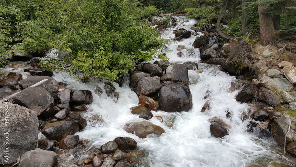 Fototapeta premium Rushing Stream