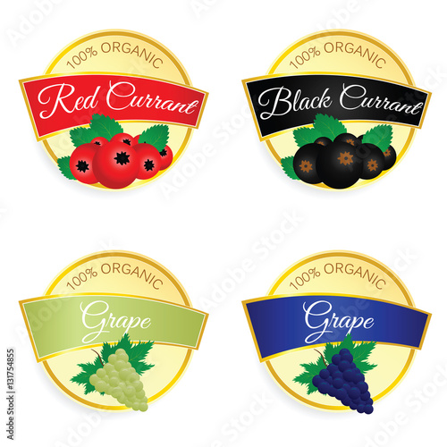 label of fruit currant and grape illustration in colorful