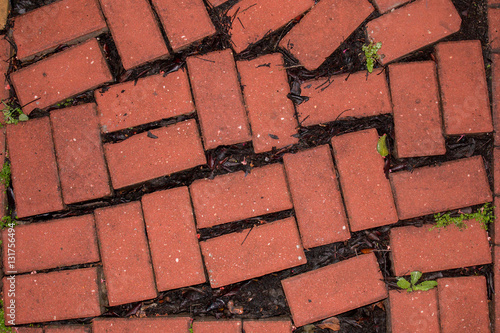 red brick pavement texture