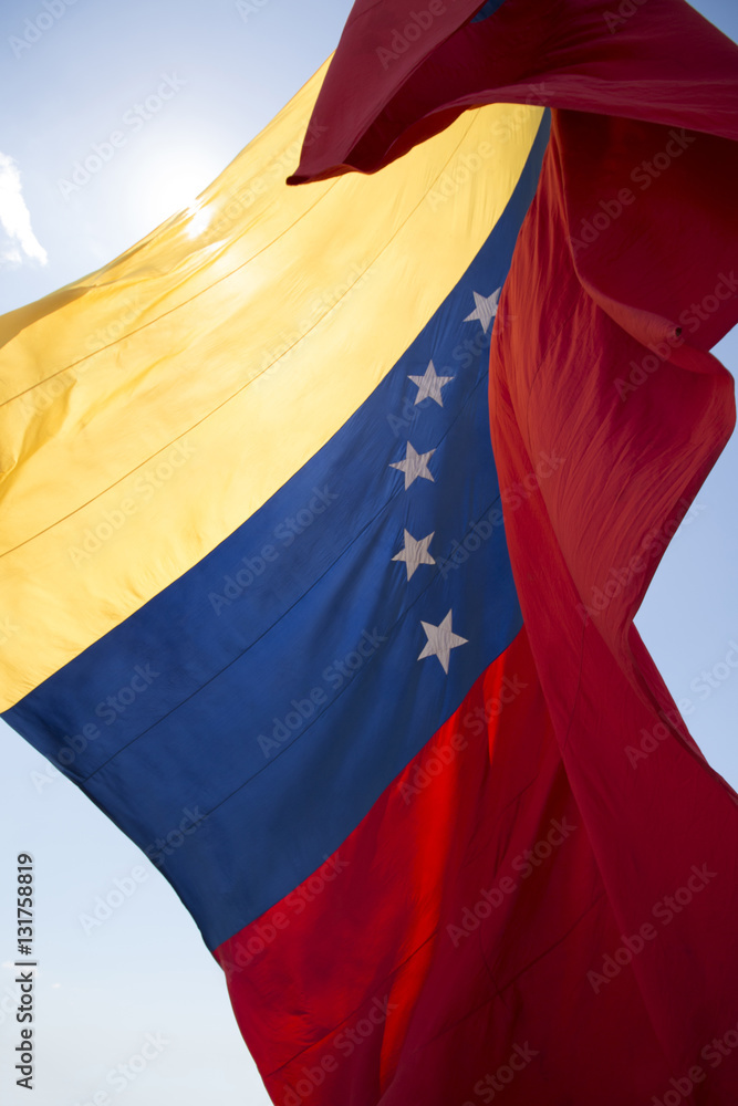 Obraz premium Venezuela flag