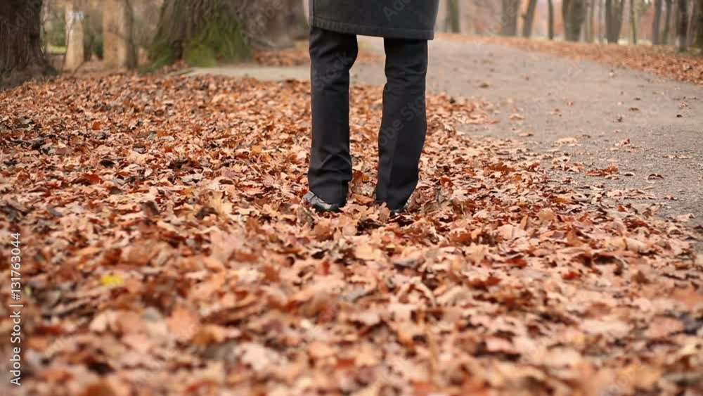 Legs, man walking on the fallen leaves in autumn park
Legs, man walking on the fallen leaves in autumn park