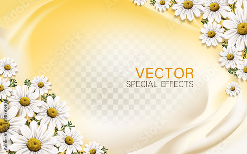 chamomile flower background