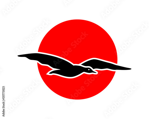 seagull silhouette