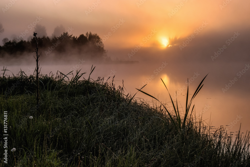 Foggy lake in the morning, Latvia, Summer.