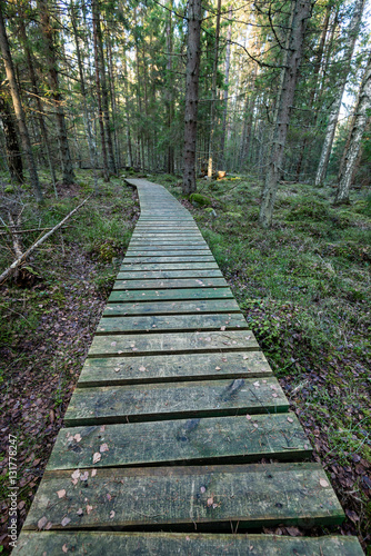 old wooden boardwalk covered with leaves in ancient forest