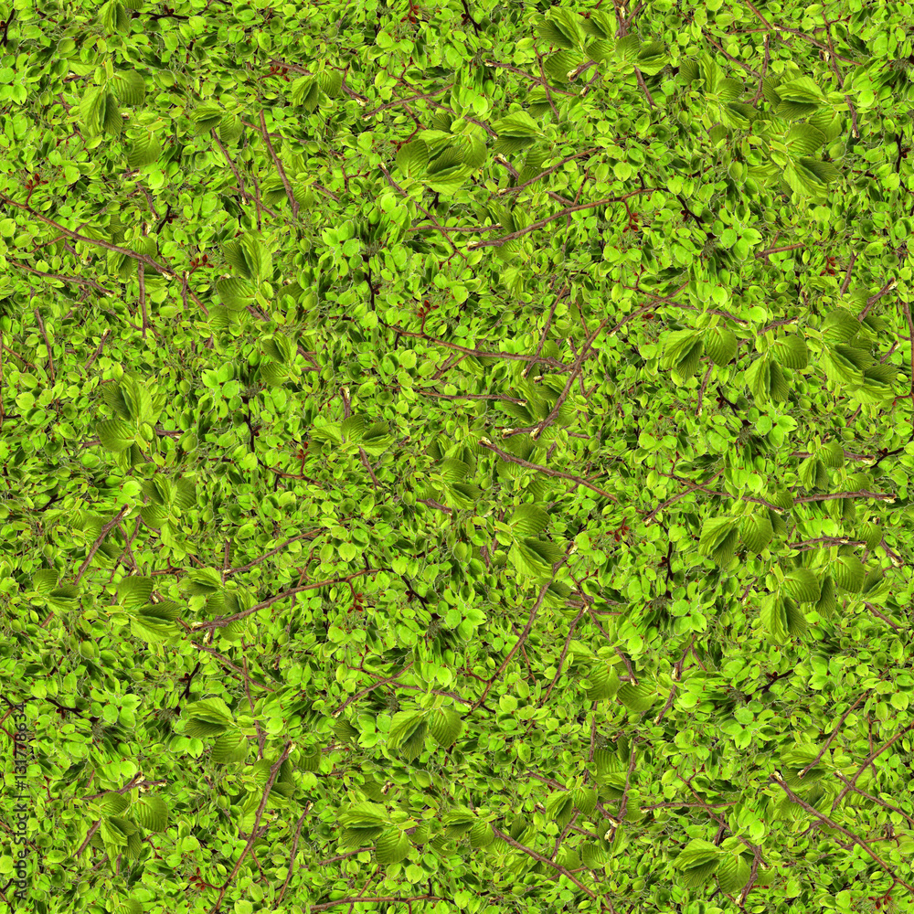 Fototapeta premium seamless background pattern texture made of leaves
