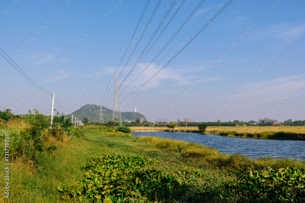 Power lines over a meadow
