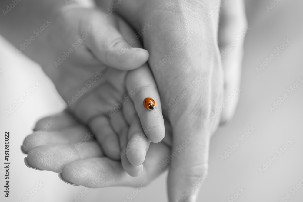 Naklejka premium Ladybug on a childs finger