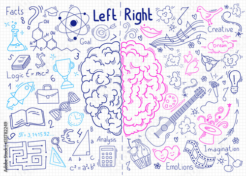 Concept of the human brain