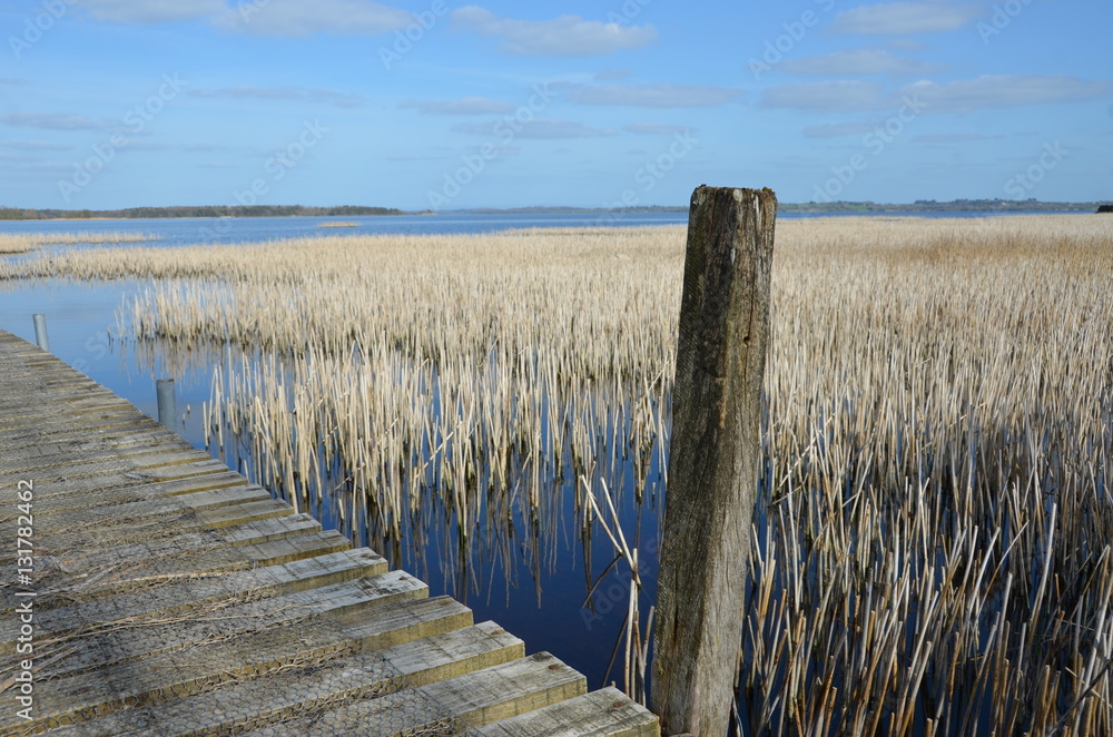 Obraz premium am See