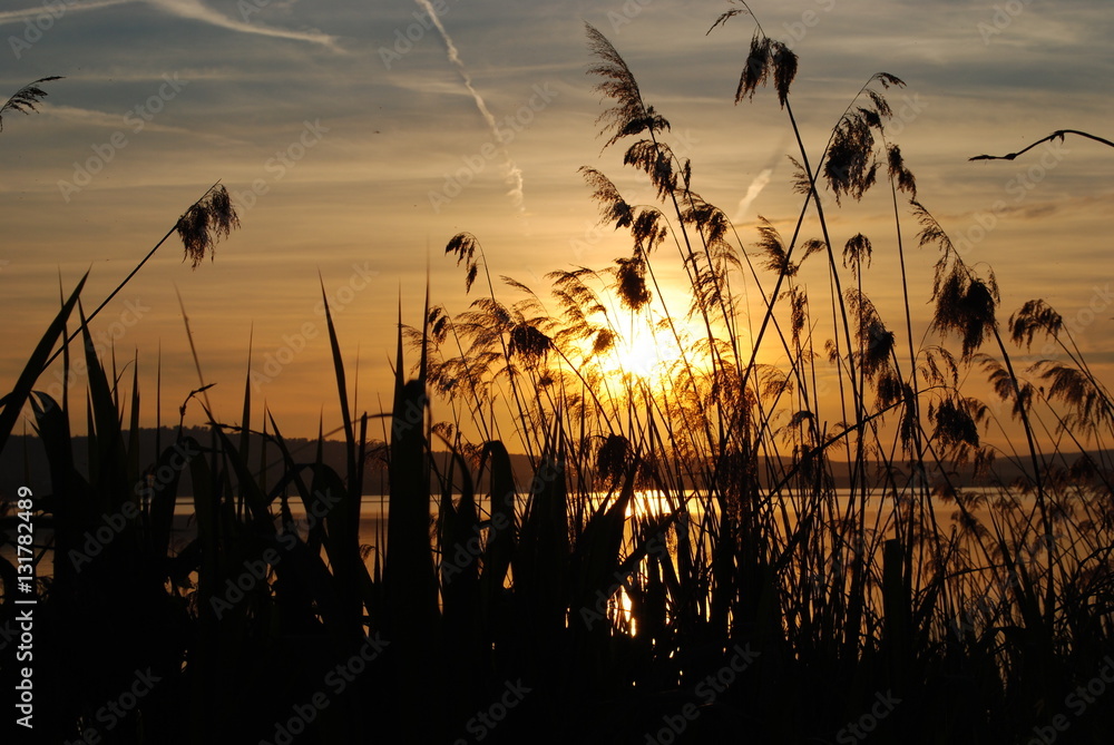 Obraz premium Sonnenuntergang