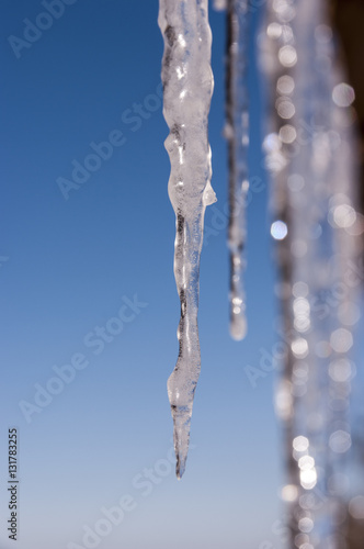 Frozen icicles in the winter