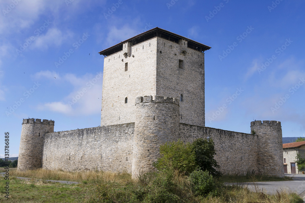 Mendoza castle