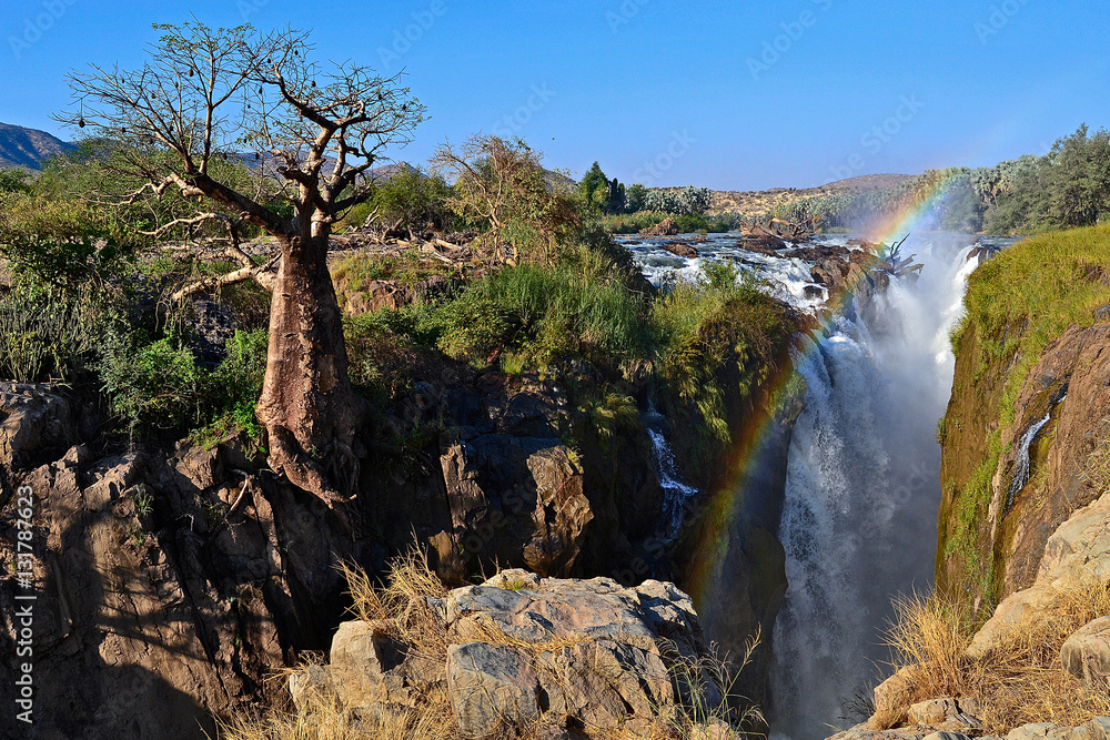 Baobab tree at Epupa Falls Namibia Baobab tree at Epupa Falls Namibia