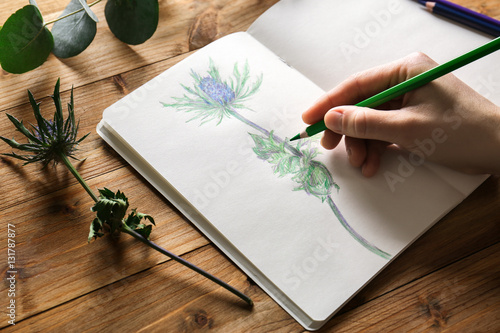 Female hand drawing plant in sketchbook on wooden background photo