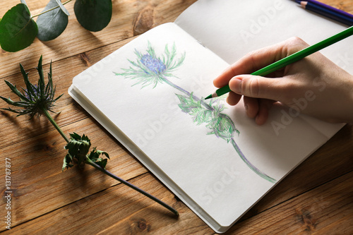 Quadro su tela Female hand drawing plant in sketchbook on wooden background
