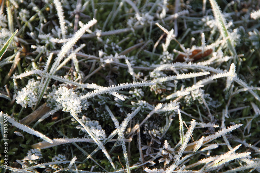 Winterlandschaft Winterlandschaft