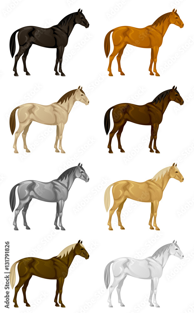 Obraz premium Color horse set