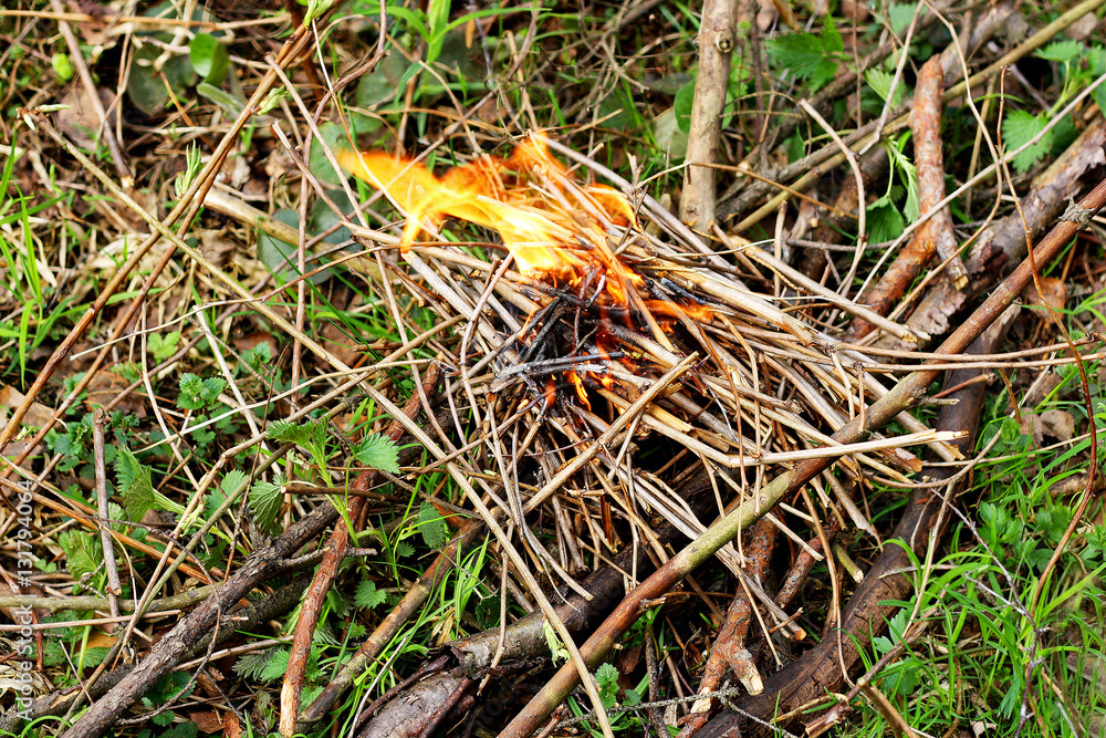 Fototapeta premium The fire that sparked on the grass.