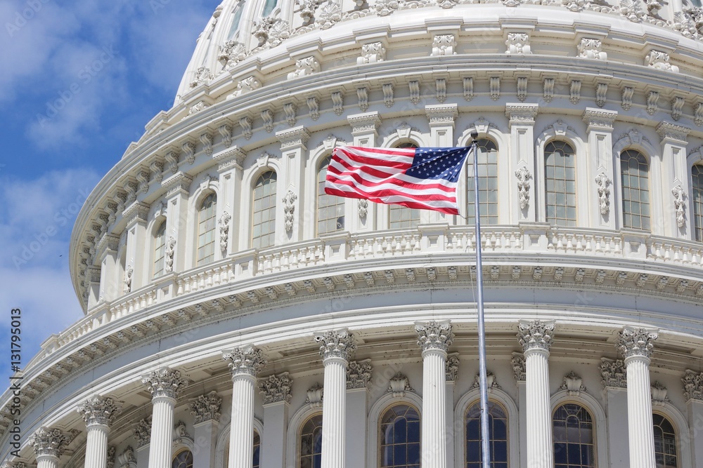 Obraz premium Washington Capitol