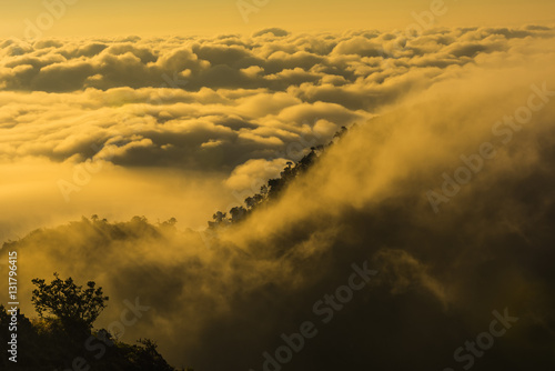 Mountain Mist at Sunrise, Doi Luang Chiang Dao, Chiang Mai, Thailand
