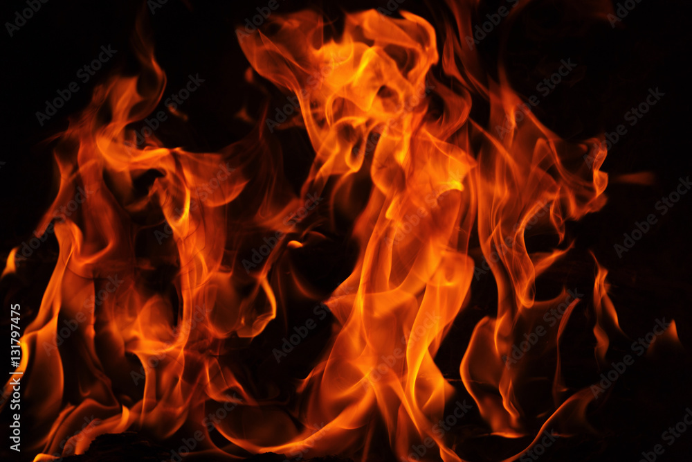 Fire flames on black background. Fire flames on black background.