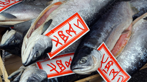 Fresh whole salmon sale in Japanese fish market