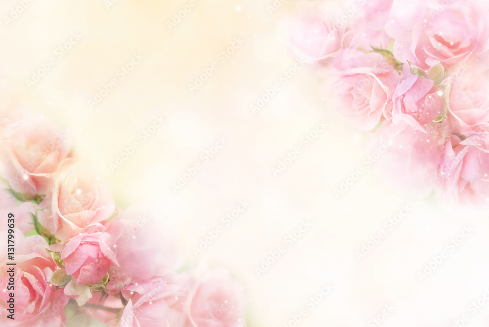Obraz premium piękne różowe róże kwiat granicy miękkie tło na Walentynki w pastelowych odcieniach