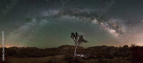 Joshua Tree Milky Way Panorama  photo