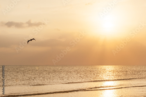 Sunset on pristine sandy beach of Fort Meyers, Florida © Natalia Bratslavsky
