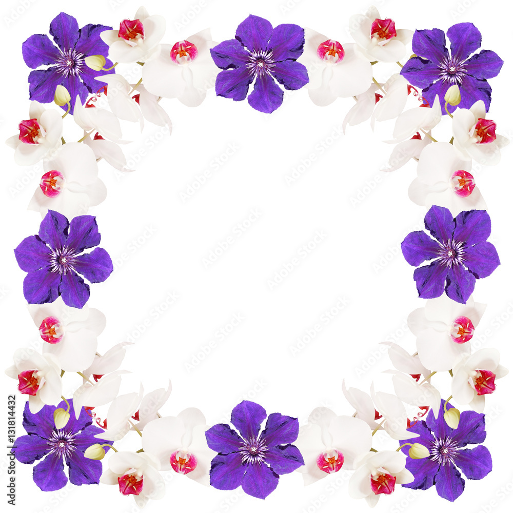 Beautiful floral background with orchids and clematis 