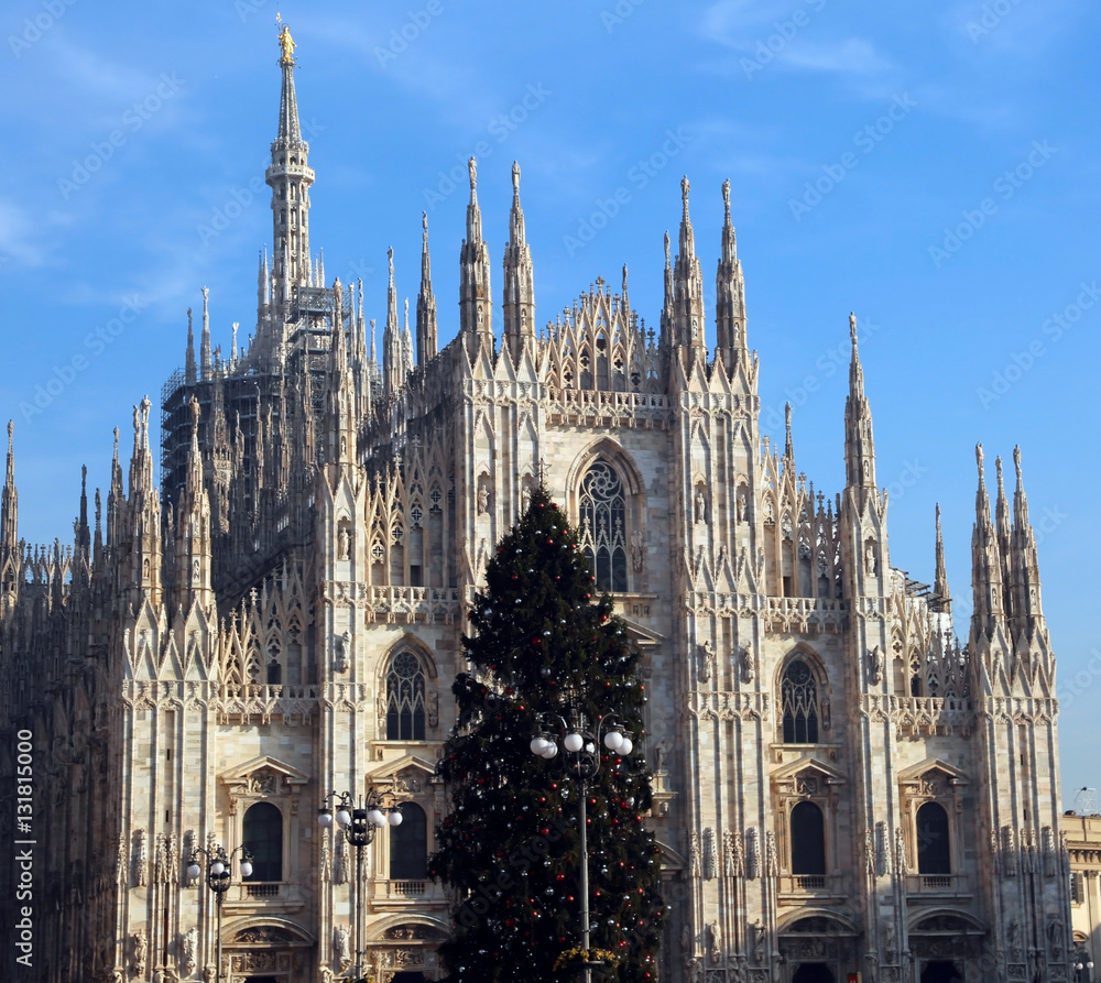 huge Christmas tree with red and silver balls in front of the sp huge Christmas tree with red and silver balls in front of the sp