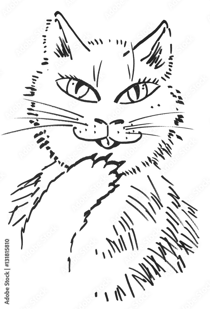 Obraz premium cat - hand drawn illustration