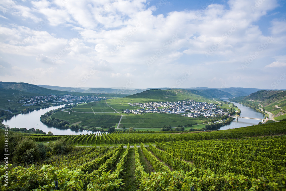 Famous Moselle river loop in Trittenheim, Germany