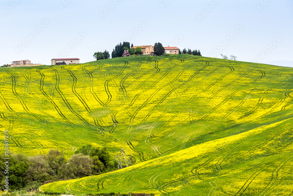 Pienza, Tuscany, italian landscape