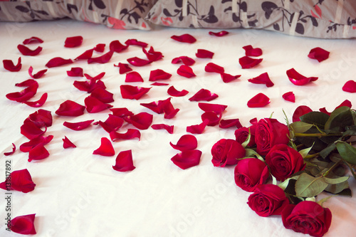 bouquet from red roses and his scattered petals on a bed