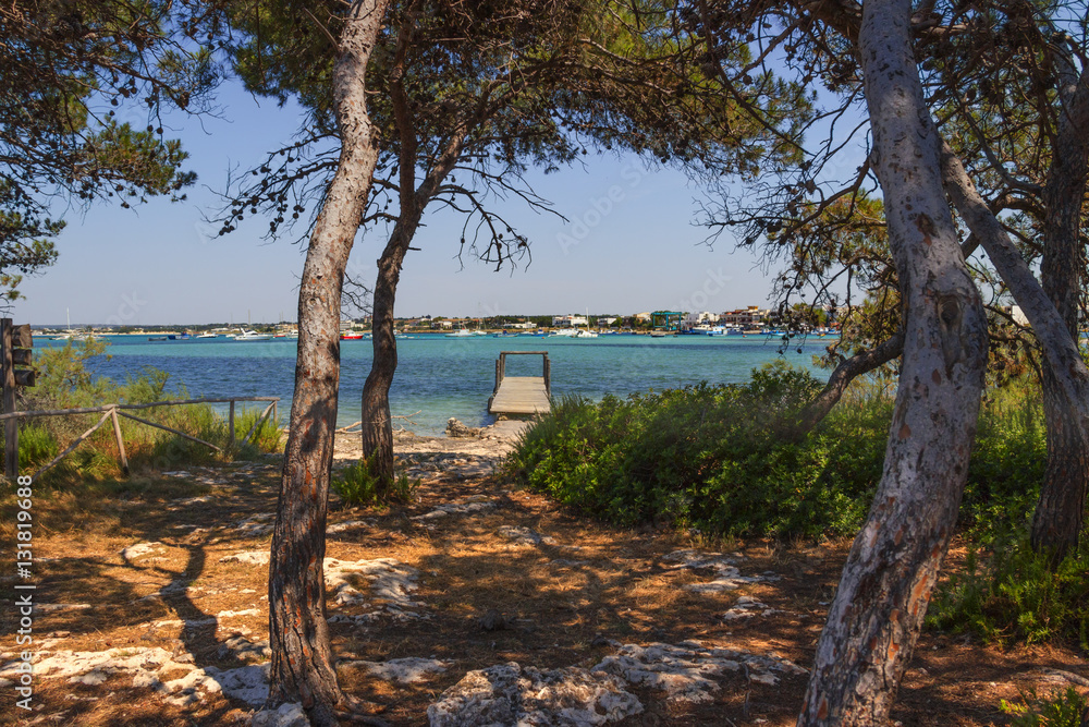 Summer holidays.Ionian coast of Salento:Porto Cesareo (Lecce).- ITALY (Apulia) -In the background Porto Cesareo  town seen from the Big Island (or Isola Grande) Nature Reserve.