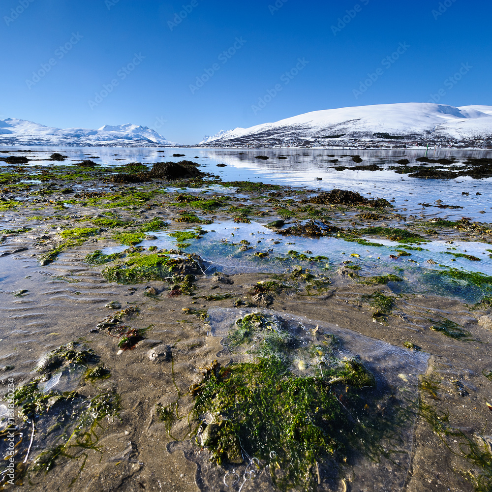 Coast of the Norwegian Sea.Tromso Coast of the Norwegian Sea.Tromso