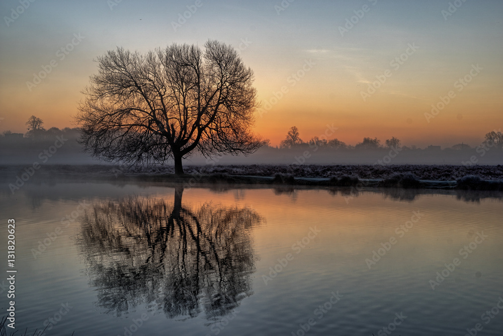 Before dawn at the Leg of Mutton Pond  Bushy Park, UK