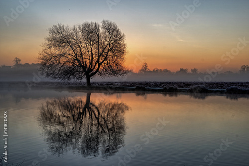 Before dawn at the Leg of Mutton Pond Bushy Park, UK